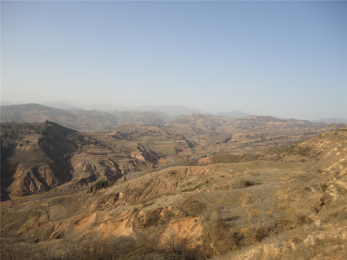 DSC09776_副本.jpg