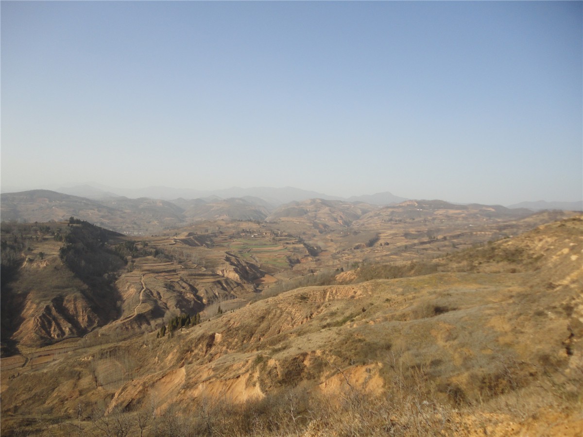 DSC09779_副本.jpg