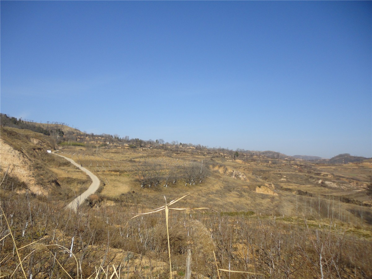 DSC09788_副本.jpg