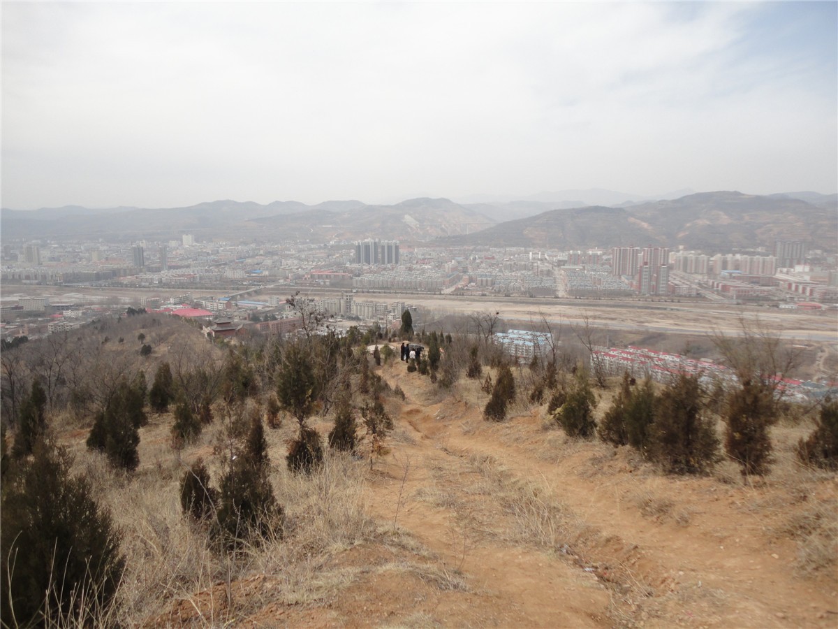 DSC09939_副本.jpg