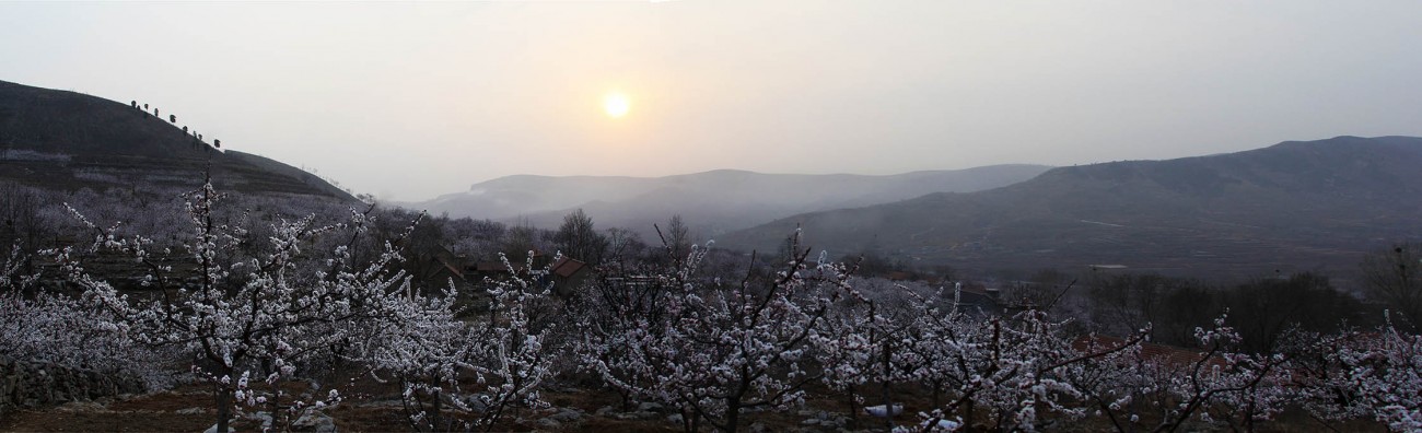 未标题_全景图2.jpg
