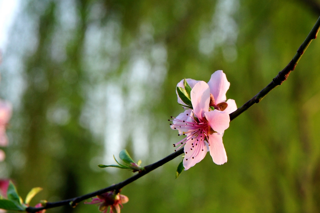 DSC_3823－2.jpg