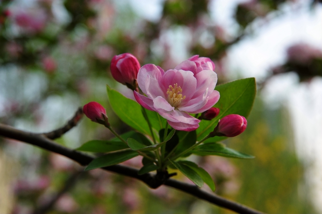 DSC_3844－2.jpg