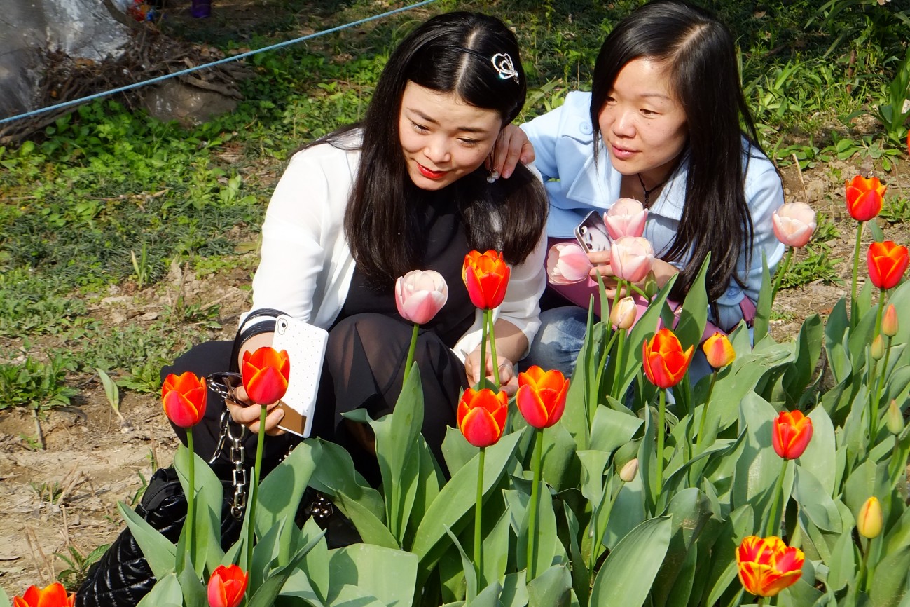 DSCF1506.JPG