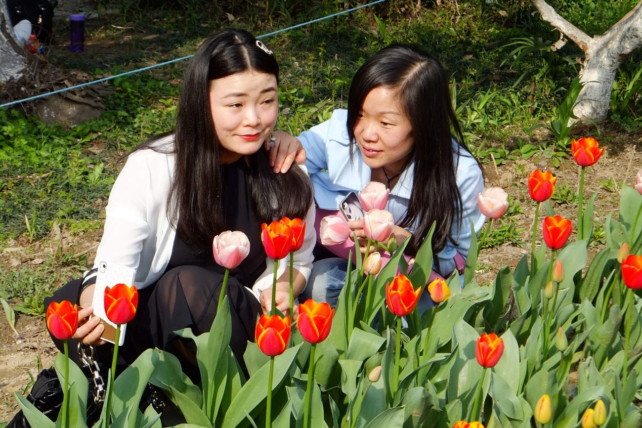 DSCF1507.JPG