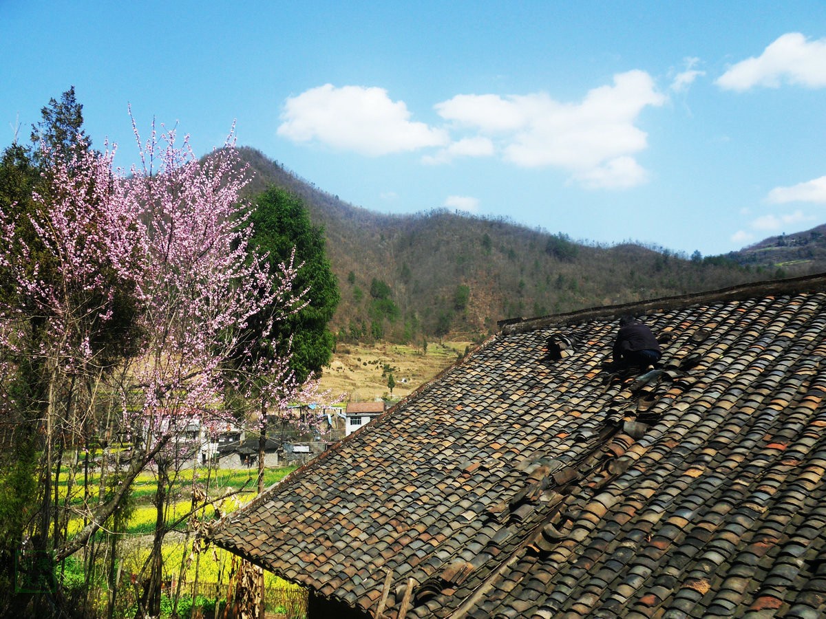 SDC13246.JPG