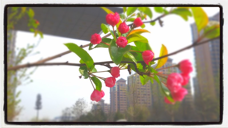 MA201503302117040066-04-000000006_副本.jpg