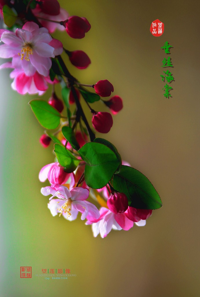 IMG_3625.jpg