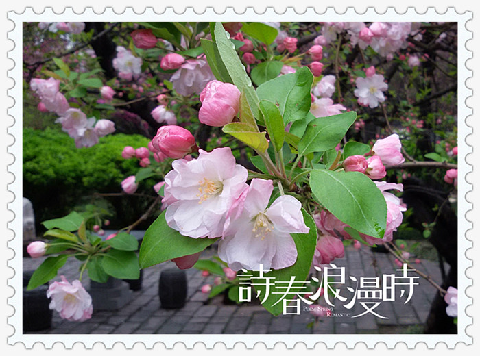 MA201503261531590040-01-000335000_副本.jpg