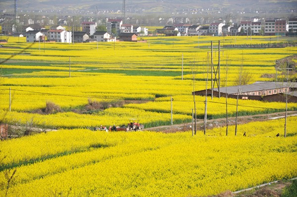 04.jpg