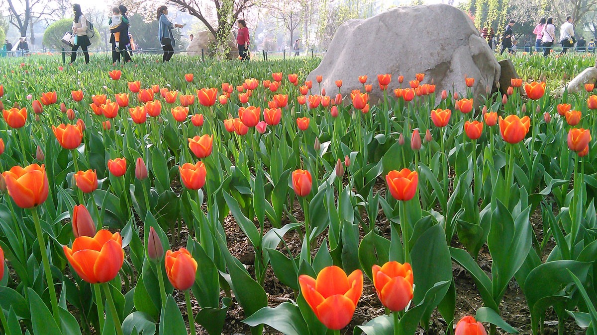 IMG_20150329_155417_2副本.jpg