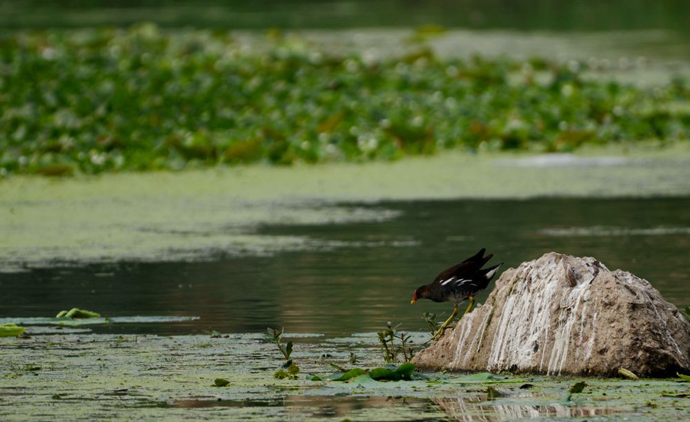 DSC_6945.JPG