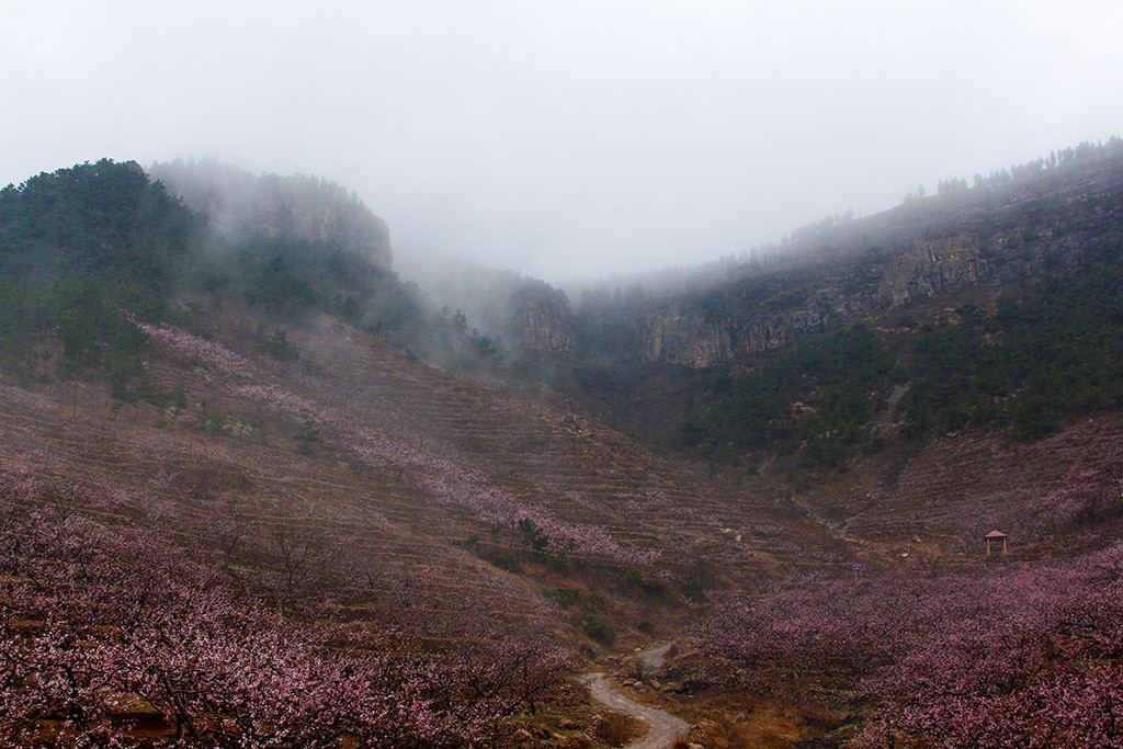 IMG_0019副本.jpg