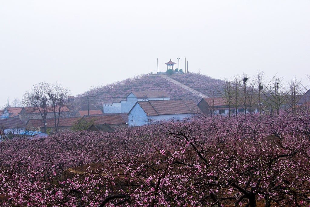 IMG_0164副本.jpg