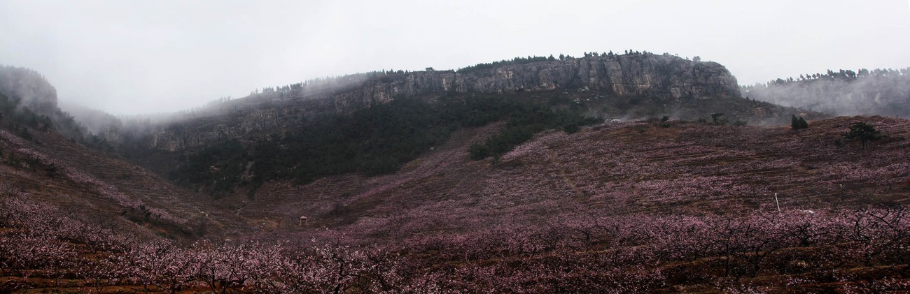 未标题_全景图1.jpg