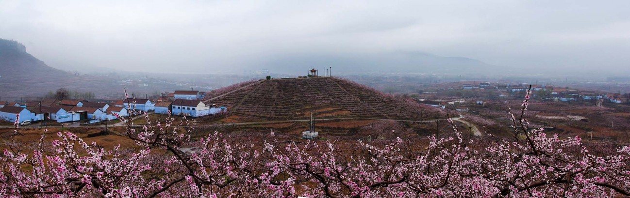 未标题_全景图2.jpg