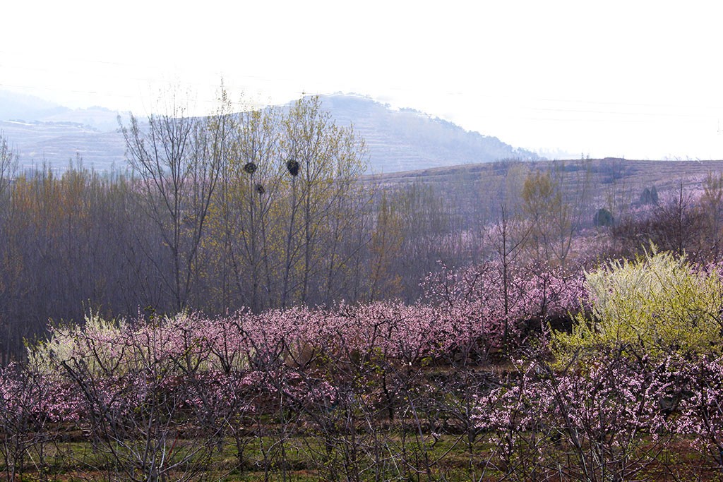 IMG_0471副本.jpg