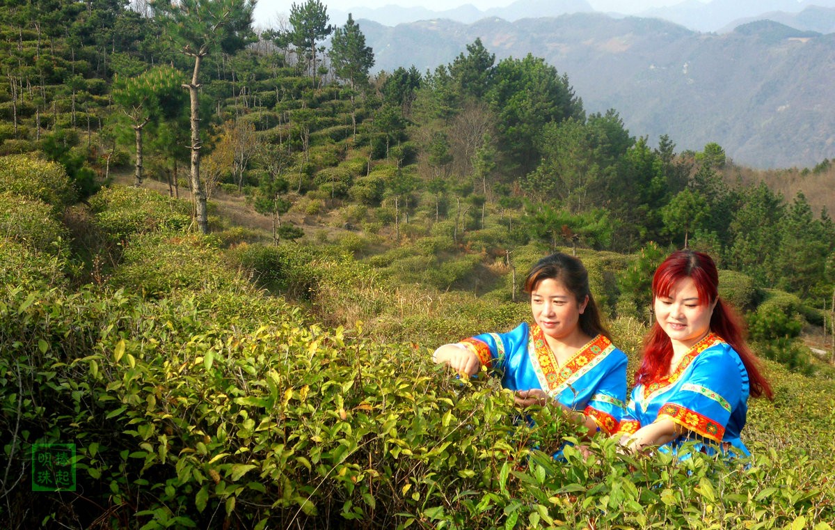 SDC13790_副本.JPG