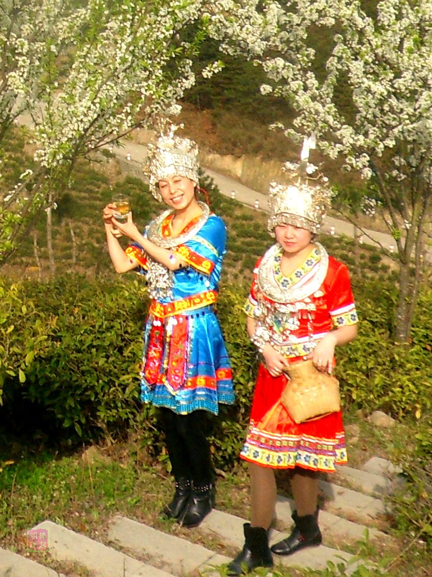 SDC13771.JPG