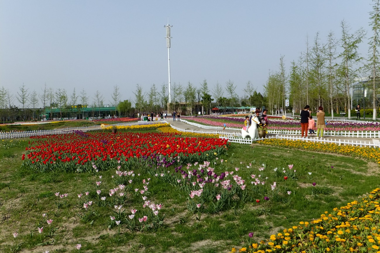 DSCF1640.JPG