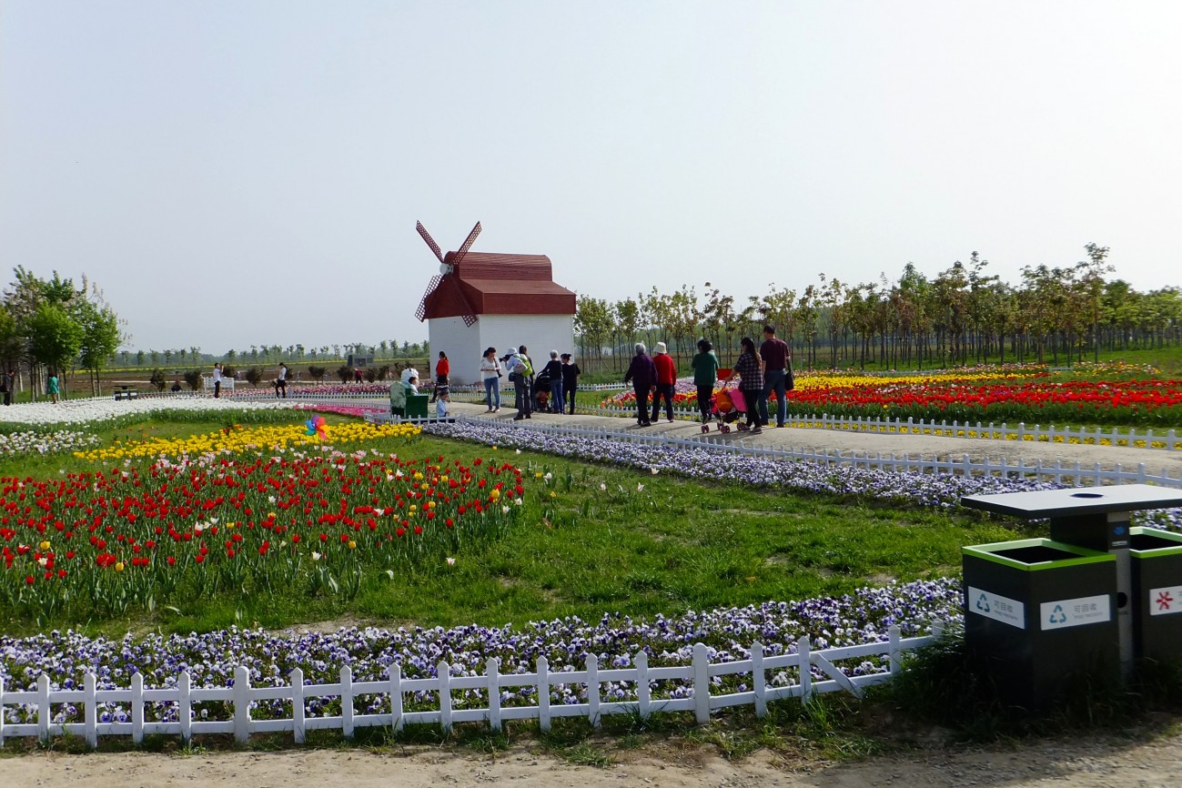 DSCF1639.JPG