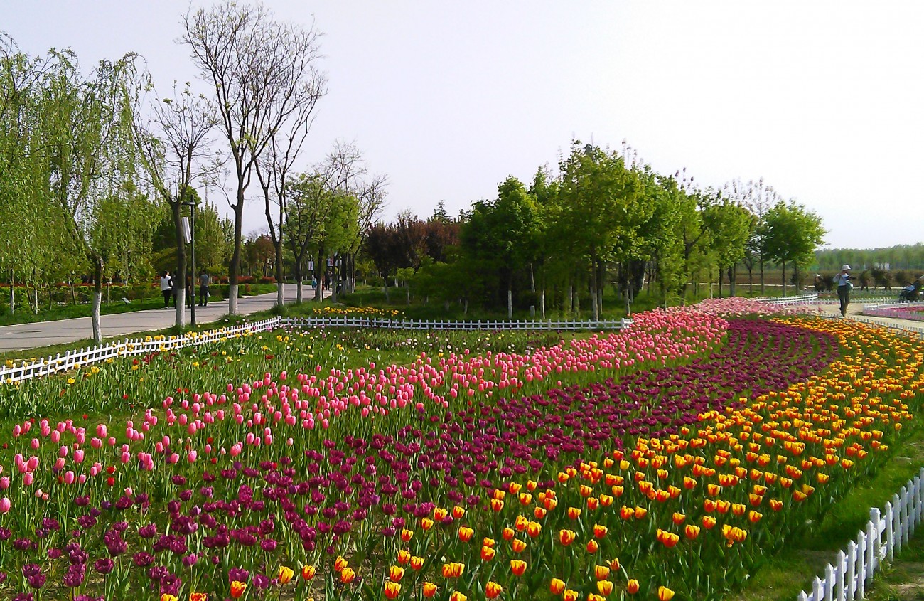 IMG_20150415_165235_1副本.jpg