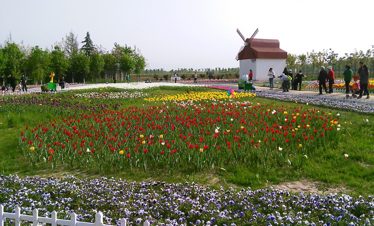 IMG_20150415_164930副本.jpg