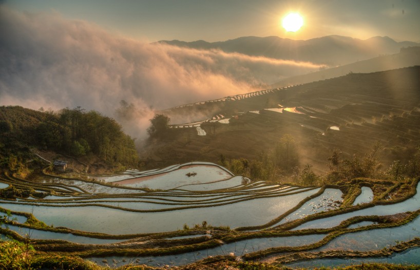 DSC_3651_2_4_5_tonemapped.jpg