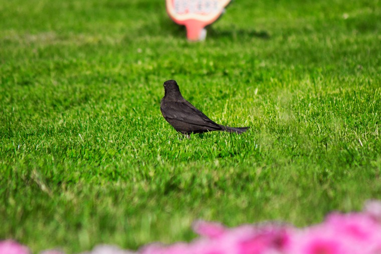_MG_6617.jpg