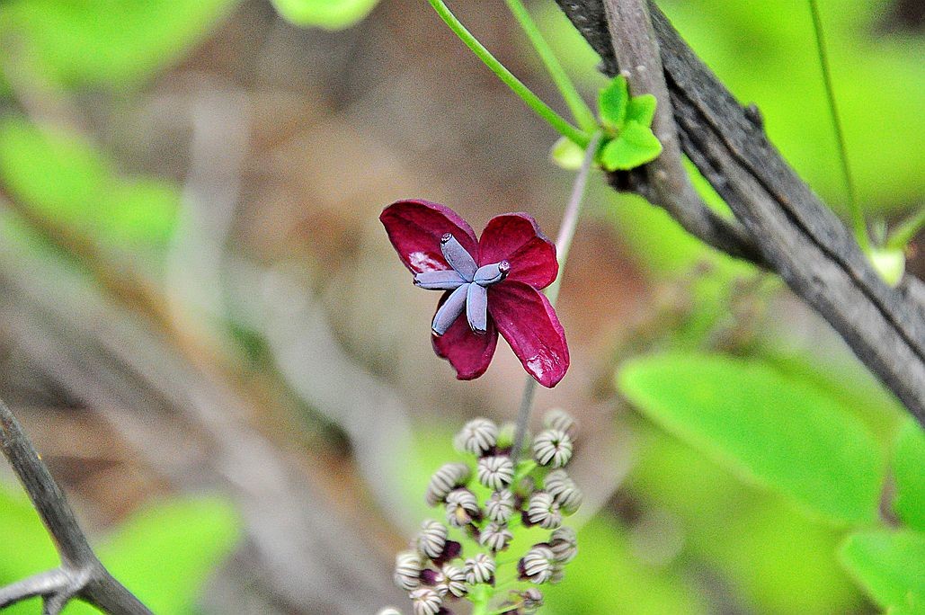 DSC_0104.jpg