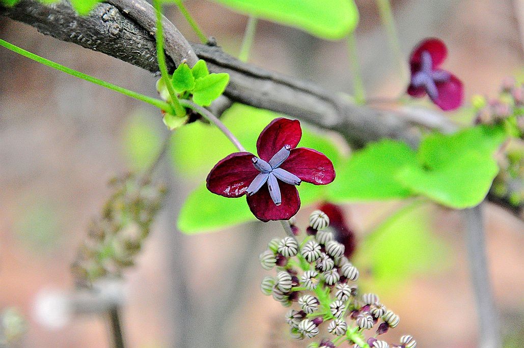 DSC_0110.jpg