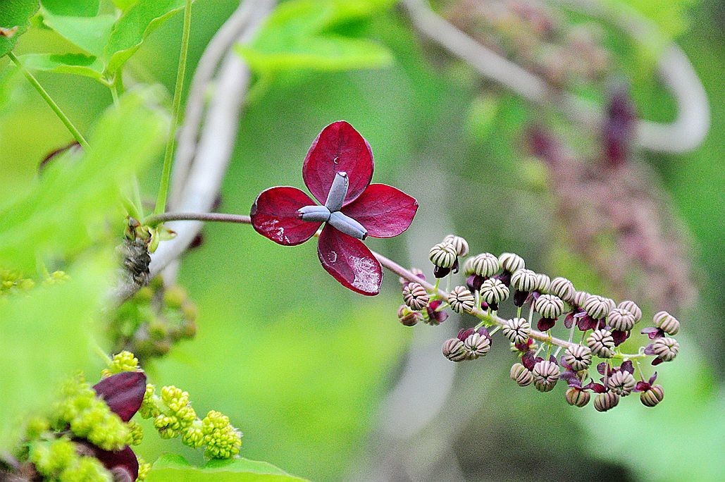 DSC_0121.jpg