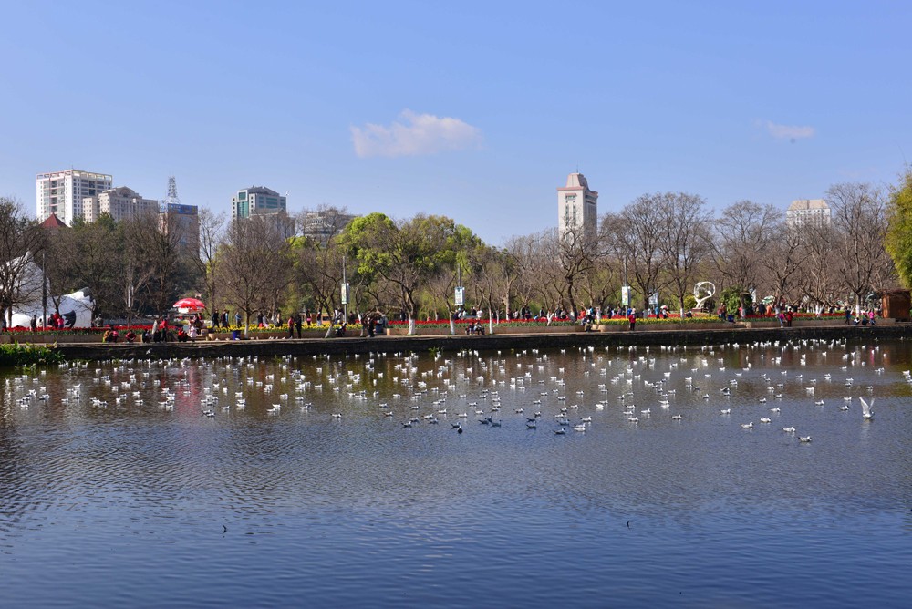 ZH0_0531-1.jpg