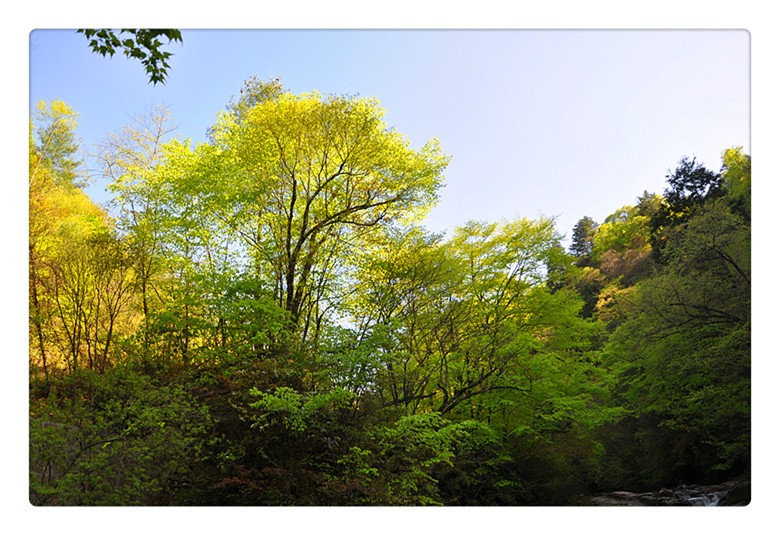 DSC_0019_副本.jpg