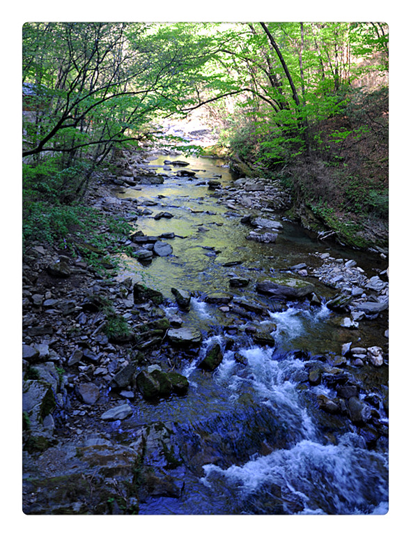 DSC_0106_副本.jpg