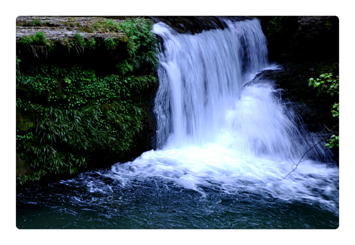 DSC_0119_副本.jpg