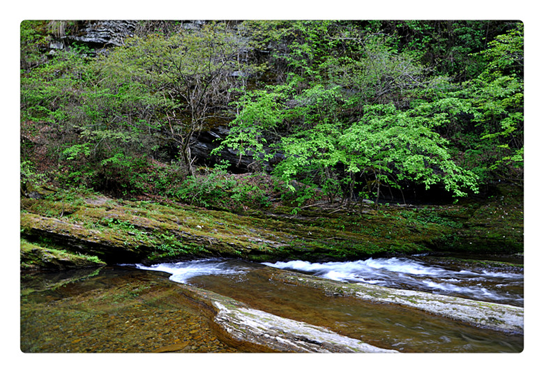 DSC_0115_副本.jpg