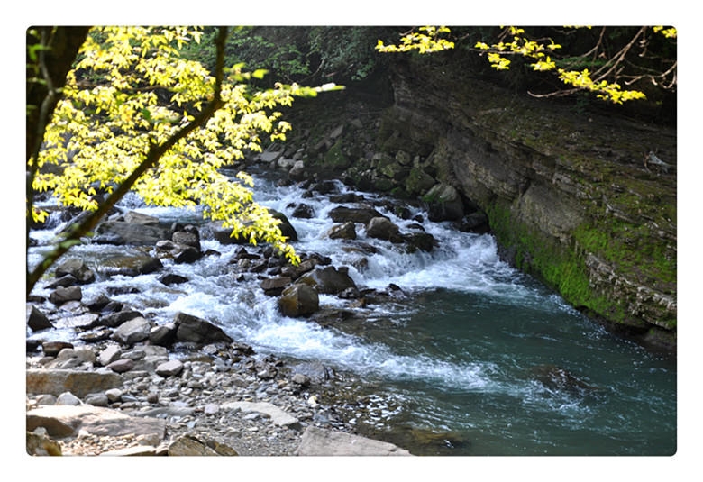 DSC_0310_副本.jpg