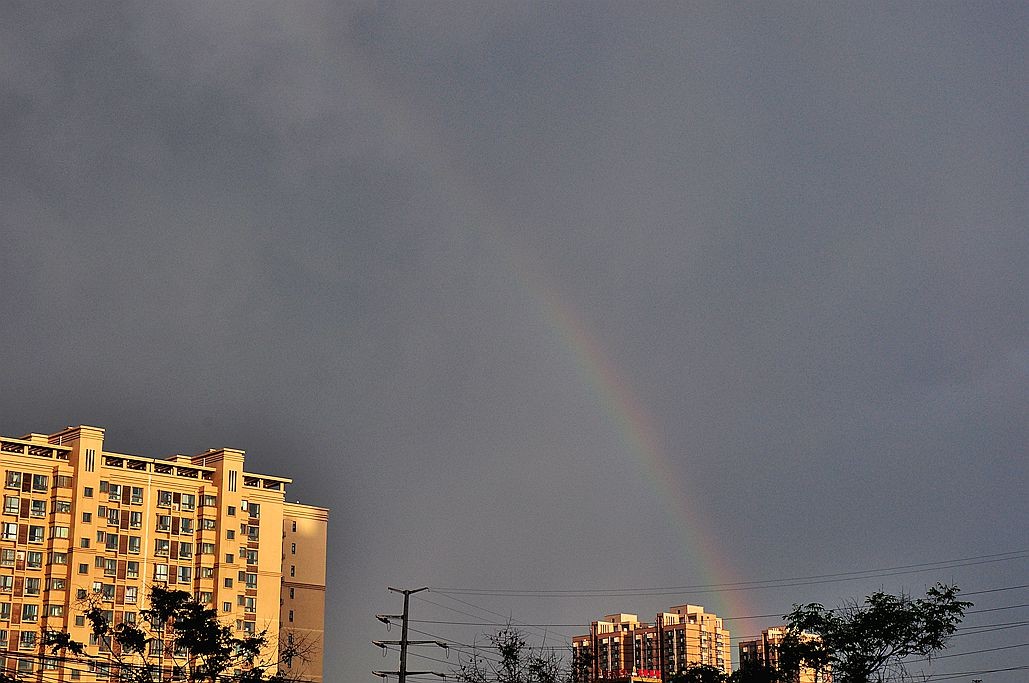 DSC_0370.jpg