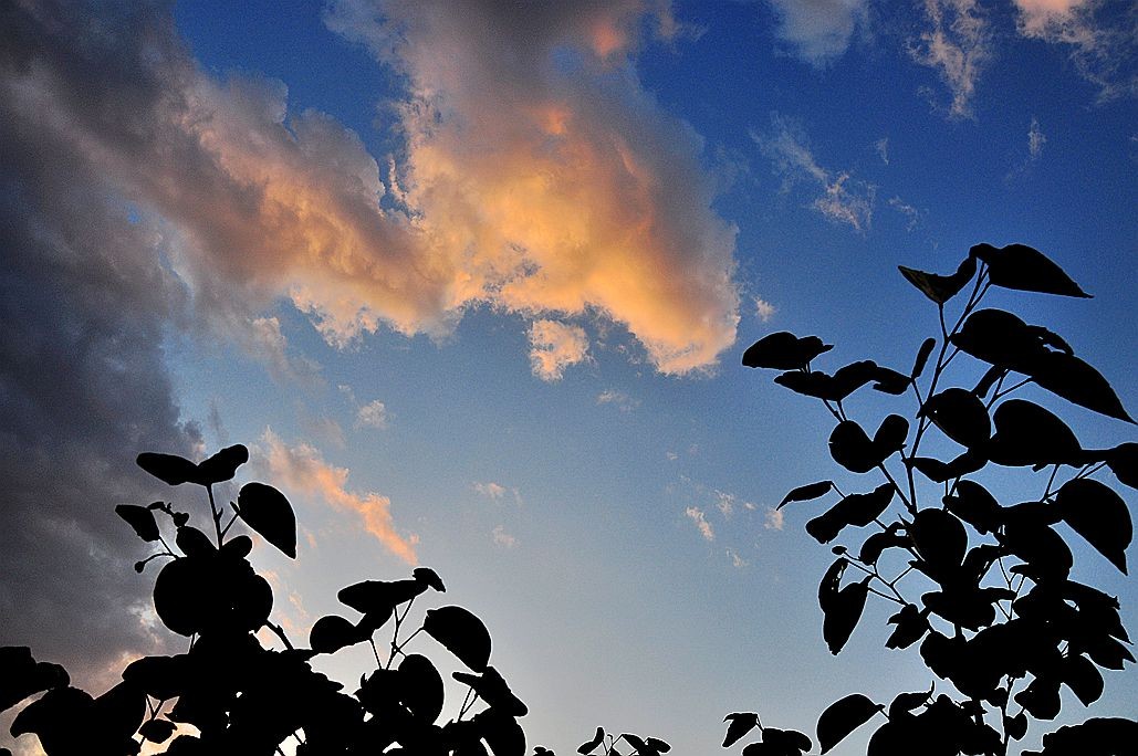 DSC_0405.jpg