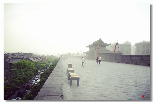 DSC_9896_副本.jpg