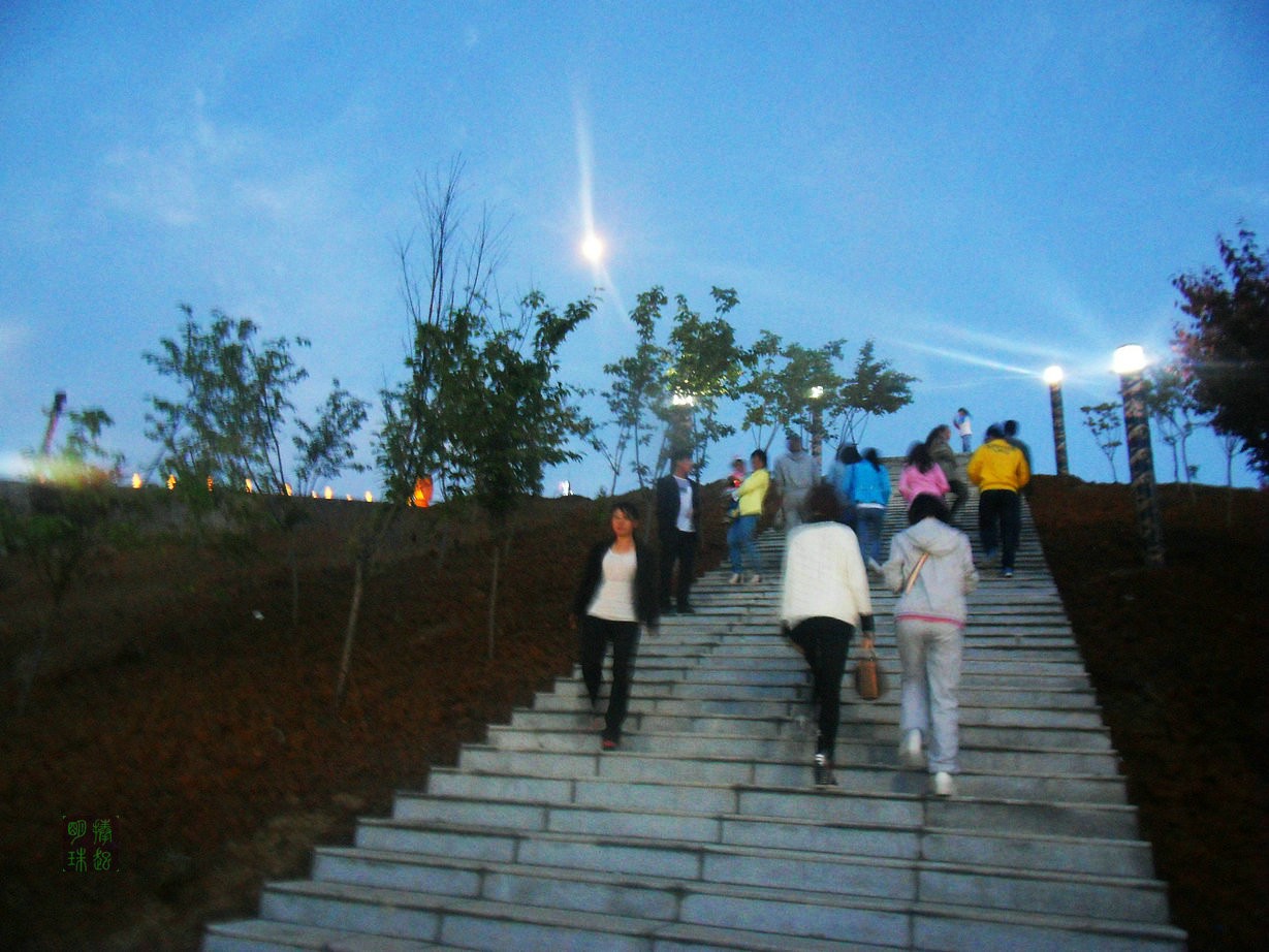 SDC15446_副本.JPG