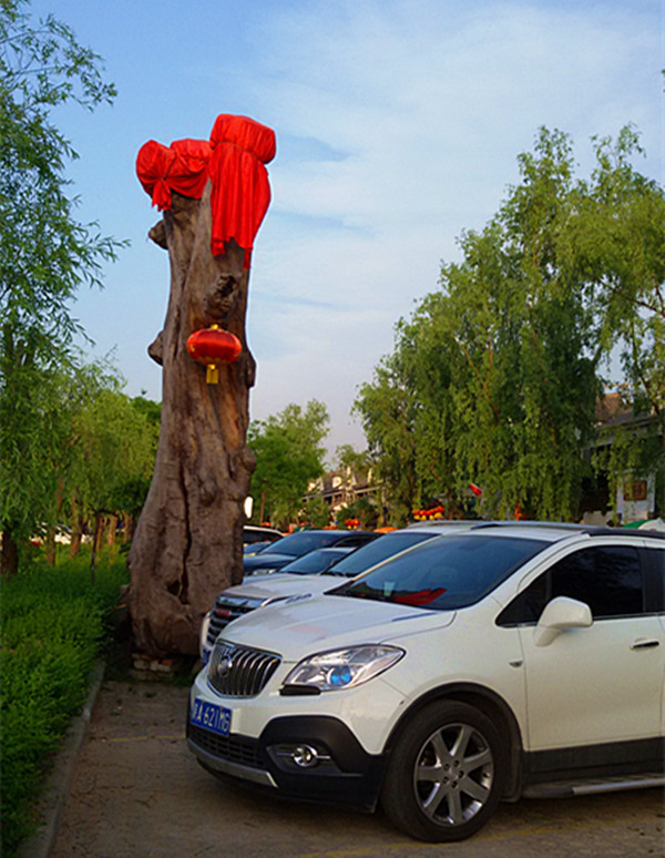 20150428_184119_副本.jpg