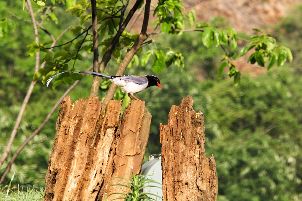 IMG_0270副本.jpg