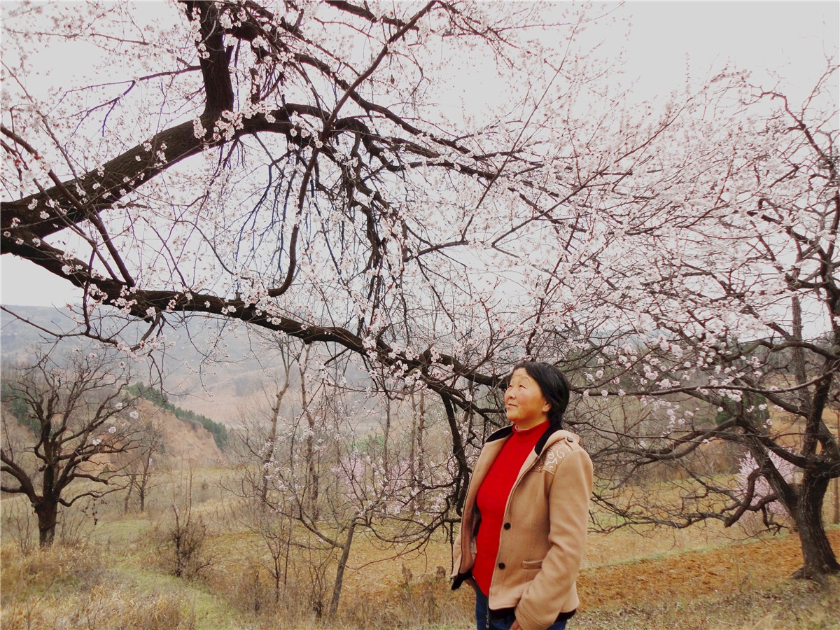 DSC00328_副本1.jpg