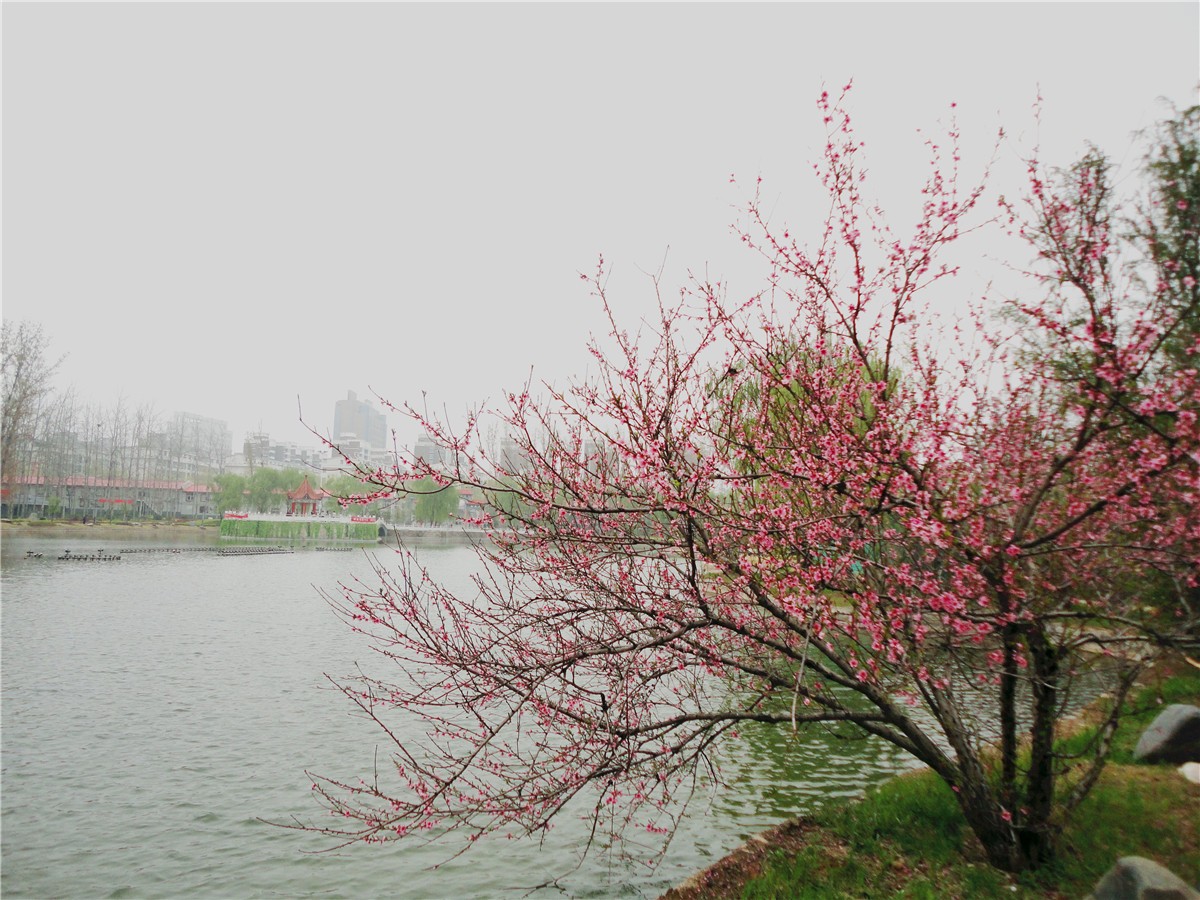 DSC00375_副本1.jpg