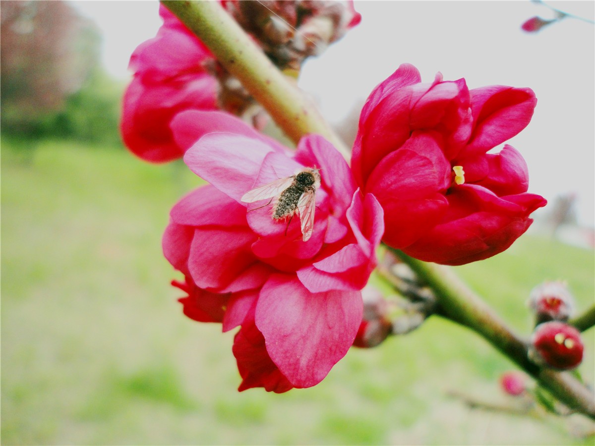 DSC00410_副本1.jpg