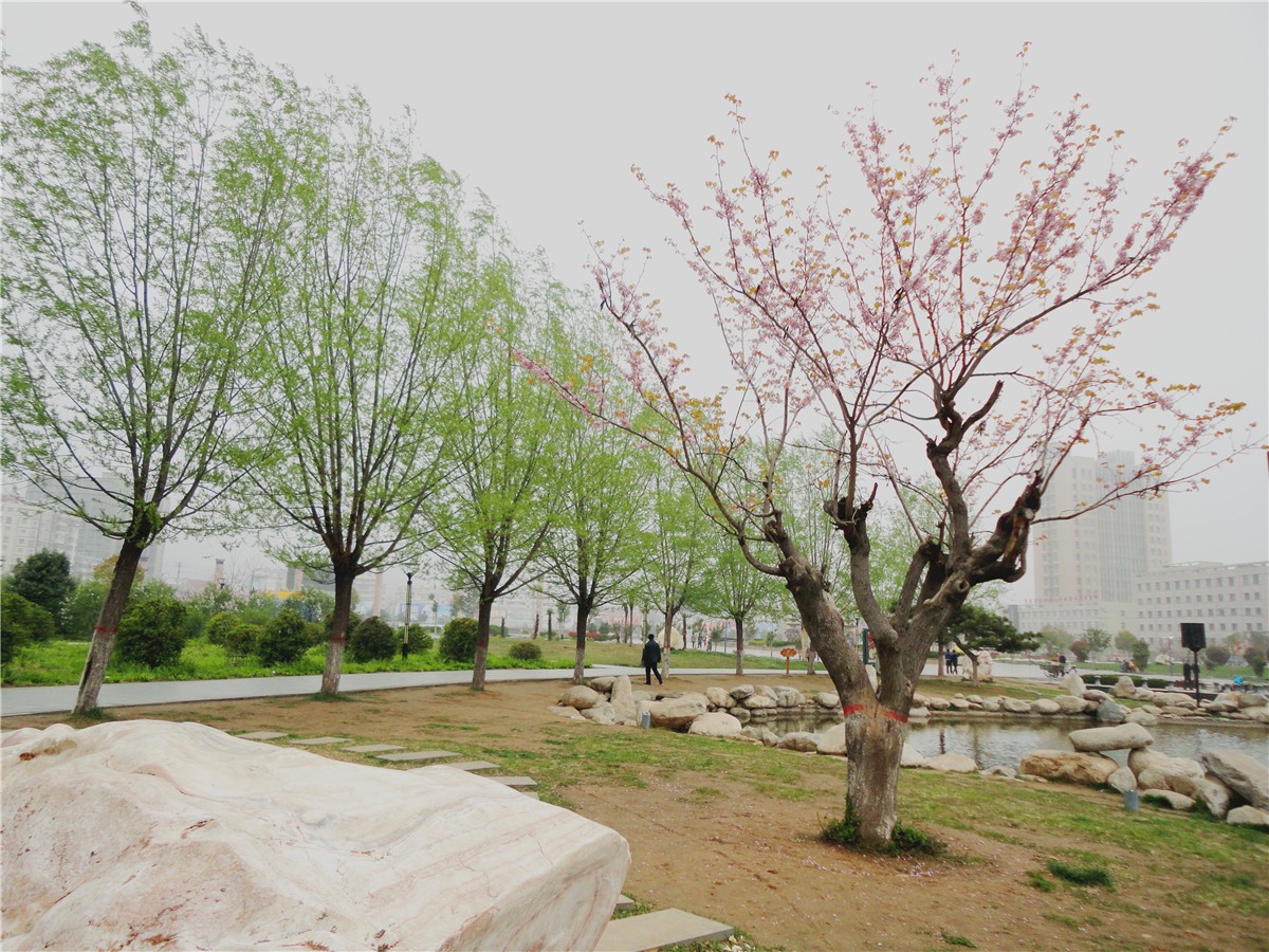 DSC00629_副本1.jpg