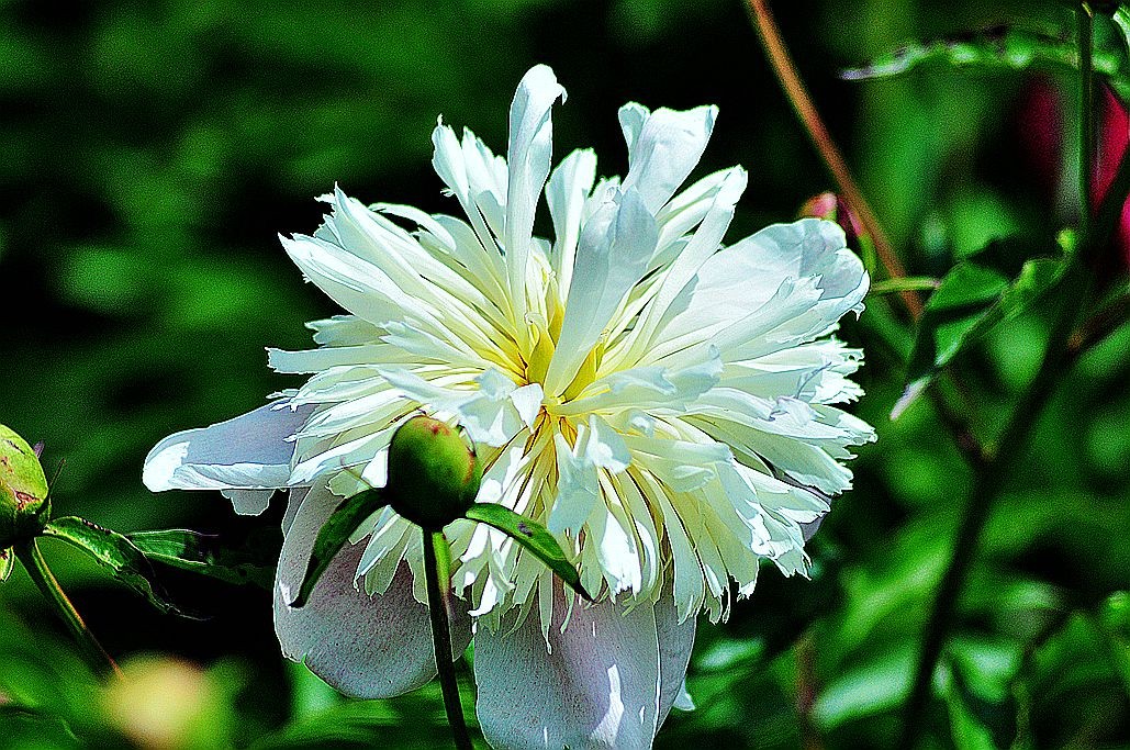 DSC_0222.jpg
