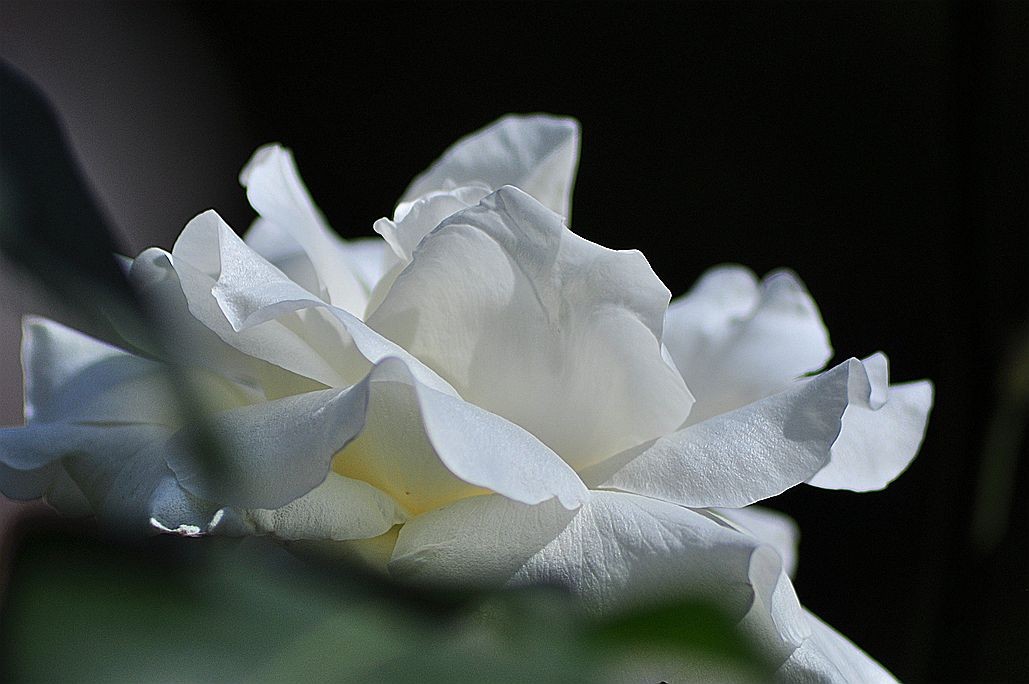 DSC_0903.jpg